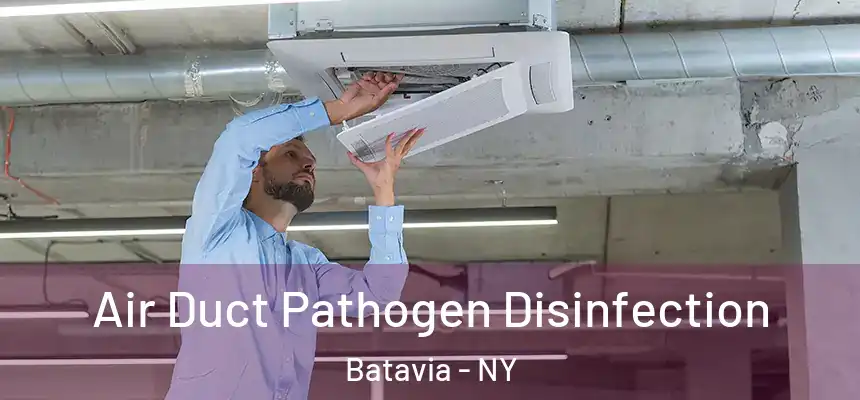  Air Duct Pathogen Disinfection Batavia - NY
