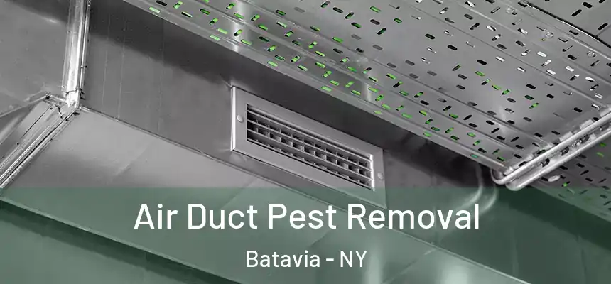  Air Duct Pest Removal Batavia - NY