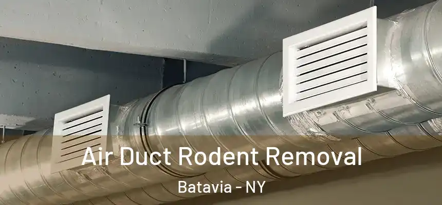  Air Duct Rodent Removal Batavia - NY