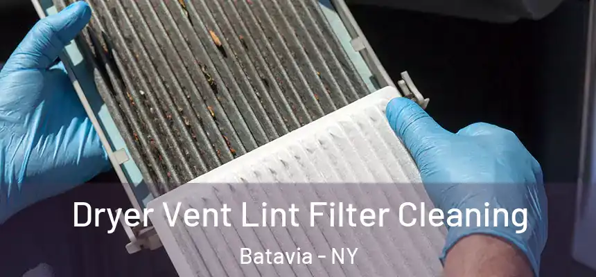  Dryer Vent Lint Filter Cleaning Batavia - NY