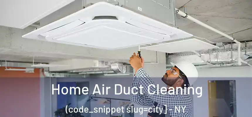  Home Air Duct Cleaning (code_snippet slug=city] - NY