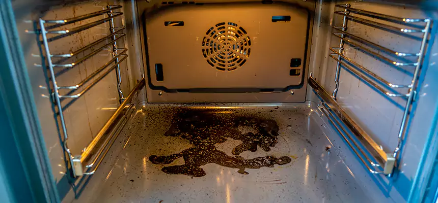 Our Dryer Vent Mold Cleaning Services in Batavia, NY