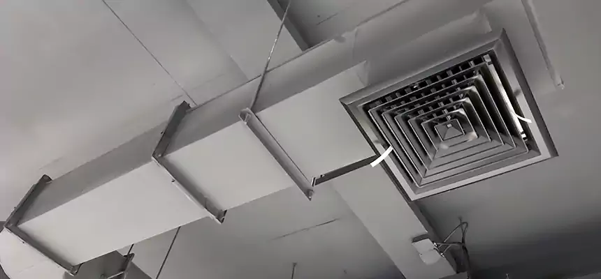 Our Pest Removal From Ducts Services in Batavia, NY