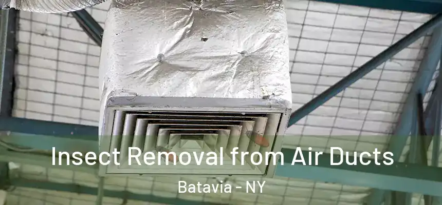  Insect Removal from Air Ducts Batavia - NY