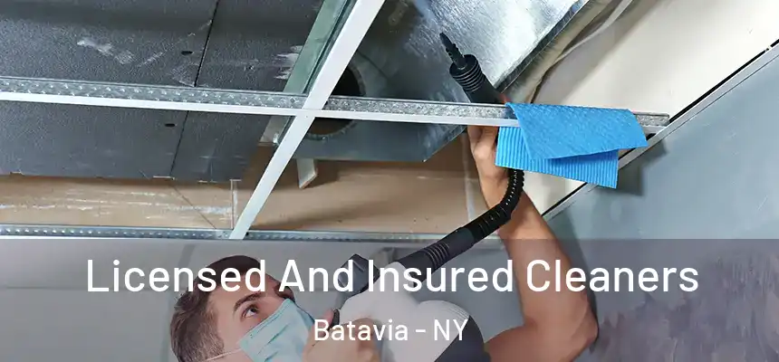  Licensed And Insured Cleaners Batavia - NY