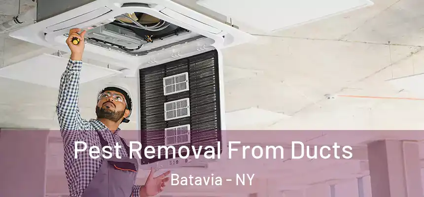  Pest Removal From Ducts Batavia - NY