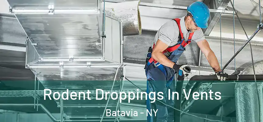 Rodent Droppings In Vents Batavia - NY