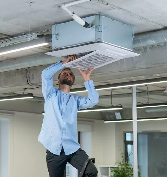 Advanced Rodent Droppings In Vents in Batavia, NY