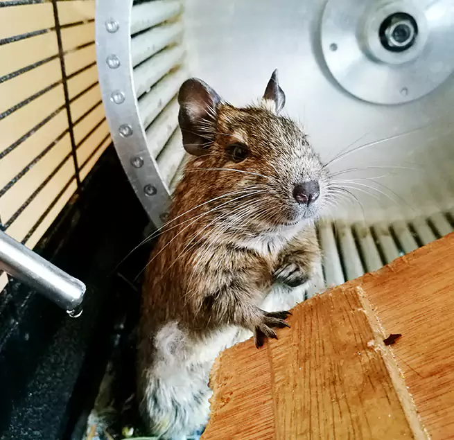 Why Homeowners & Businesses Trust Us Batavia, NY?