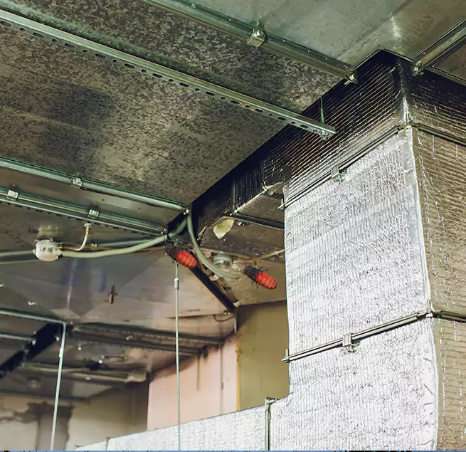 Why Homeowners & Businesses Trust Us Batavia, NY?